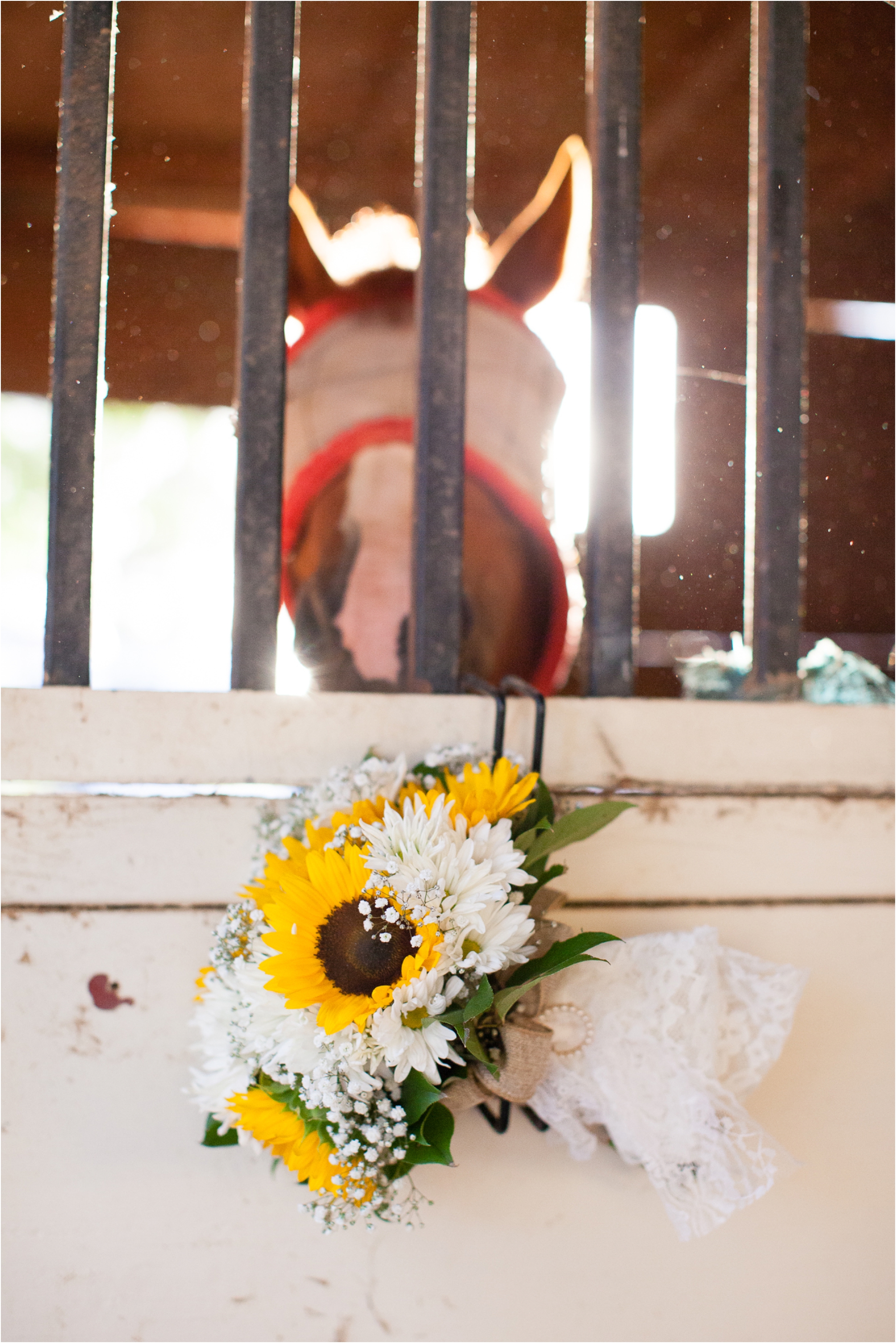 Quail-Haven-Farm-Wedding_0061