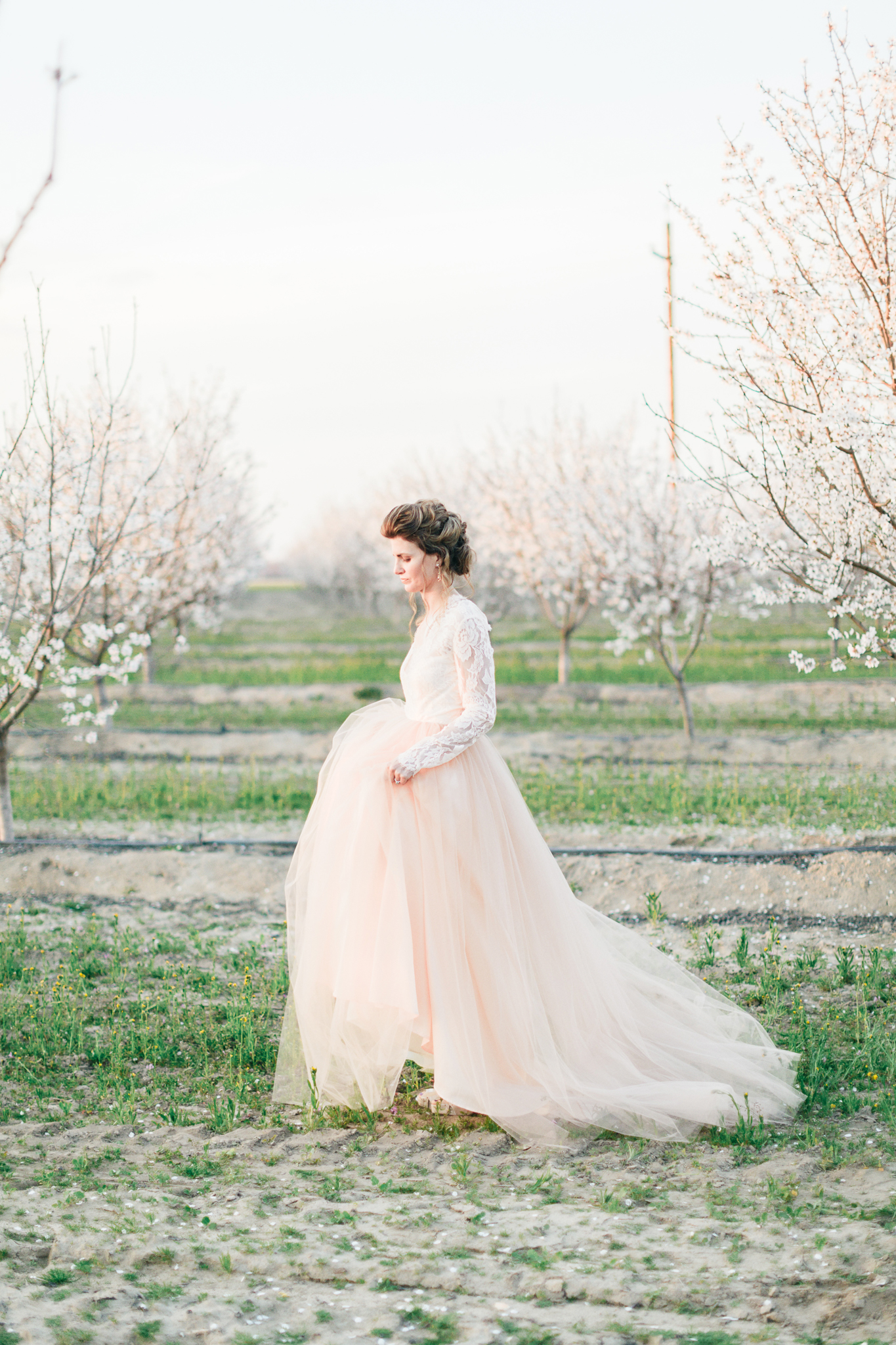 Almond Orchard Inspiration - Central California - Katie McGihon Photography
