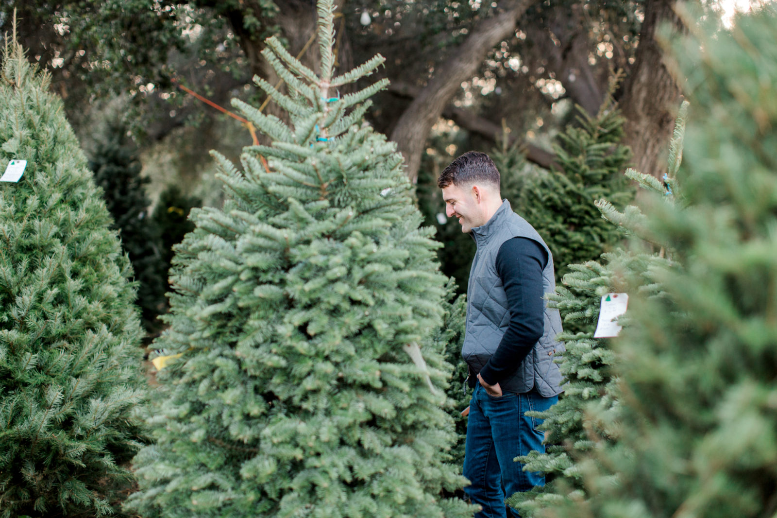 Christmas Tree Farm Engagement Session - Elizabeth and Alex - Katie ...